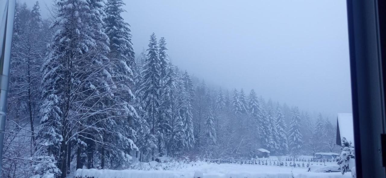 Przystanek Lesna Daire Targanice Dış mekan fotoğraf